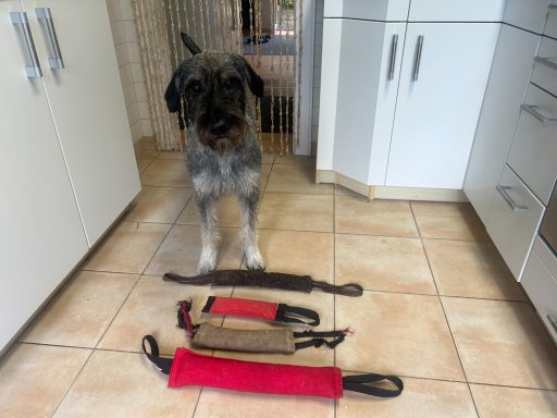 Als Ausgleich zum Training und zum Einsatz gibt es immer wieder Spieleinheiten. Martha präsentiert ihre Lieblings-Zergel