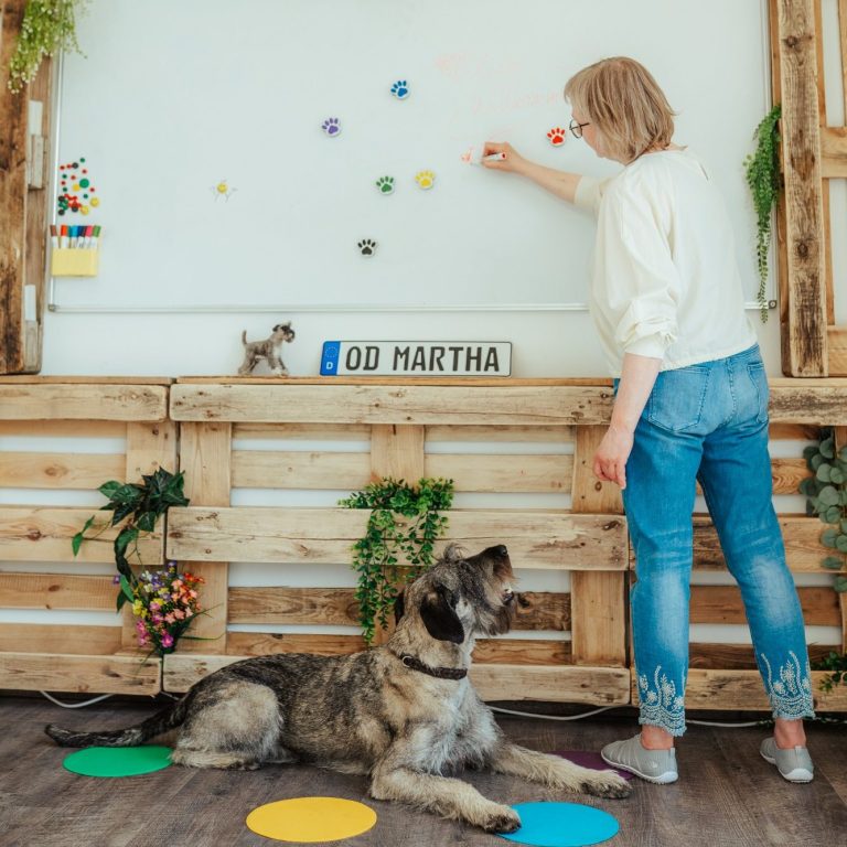 Dorothea Brandes schreibt etwas an ein Whiteboard, während Therapiehündin Martha sie anschaut