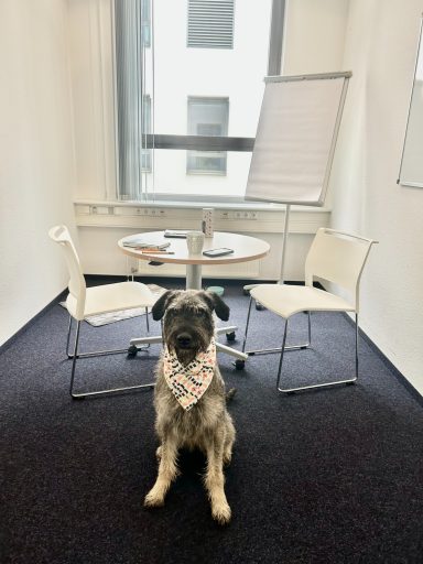 Martha wartet in einem Besprechungsraum auf einen anstehenden Coaching-Termin