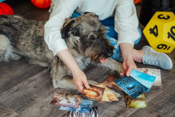 Martha sucht zusammen mit einem Menschen Assoziationskarten aus, die unterschiedliche Stimmungen symbolisieren