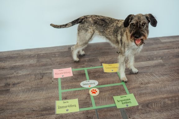 Martha unterstützt im Coaching bei der Bearbeitung des Themas "Erfülltes Leben"