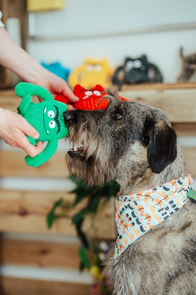 Durch den Einsatz von Martha werden Gefühle und Stimmungen besprechbar - hier unterstützt durch Gefühlsmonster-Stofftiere.