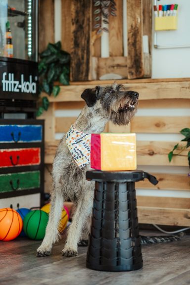 Martha zeigt ihren Würfel-Trick, der in verschiedenen Setting eingesetzt werden kann