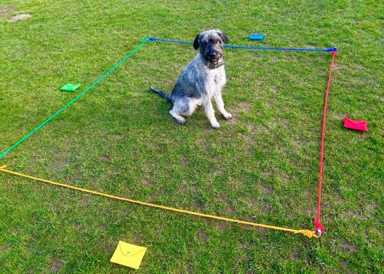 Martha unterstützt bei der Entwicklung stimmiger und wertschätzender Kommunikation mit dem 4-Seiten Modell von Friedemann Schulz von Thun